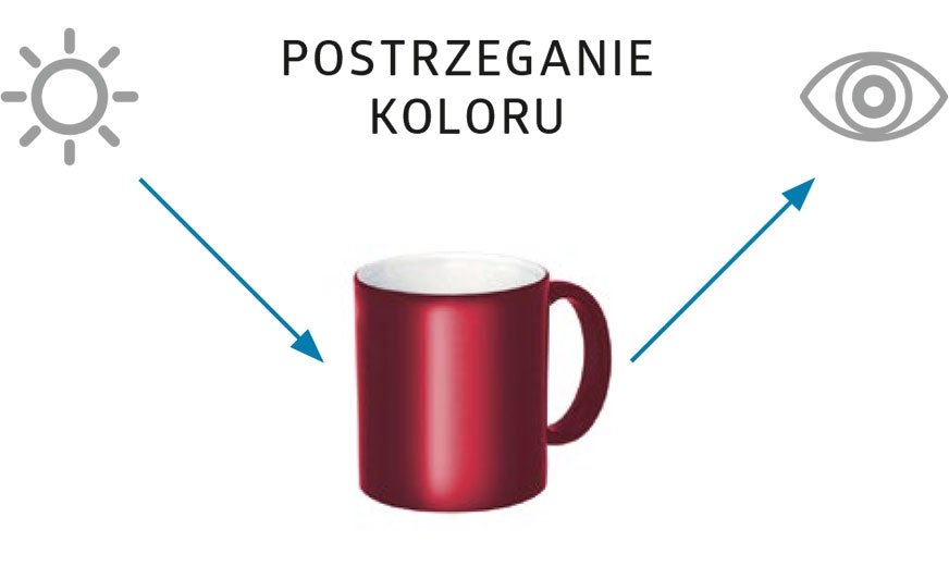 Rys. 1. Postrzeganie koloru.