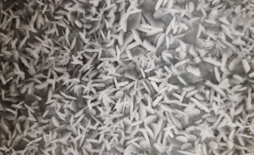 Fosforanowanie cynkowe. (zdjęcie wykonane mikroskopem skaningowym, powiększone 300 razy)